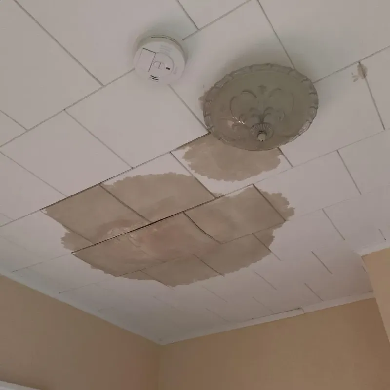 Ceiling Water Damage Repair in Guthrie, KY