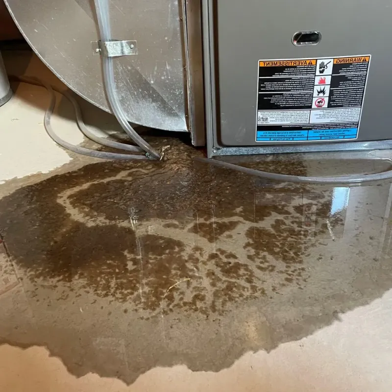 Pipe Burst and Leak Restoration in Guthrie, KY
