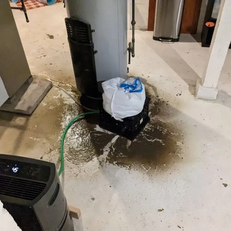 Sewage Backup Cleanup Service in Guthrie, KY
